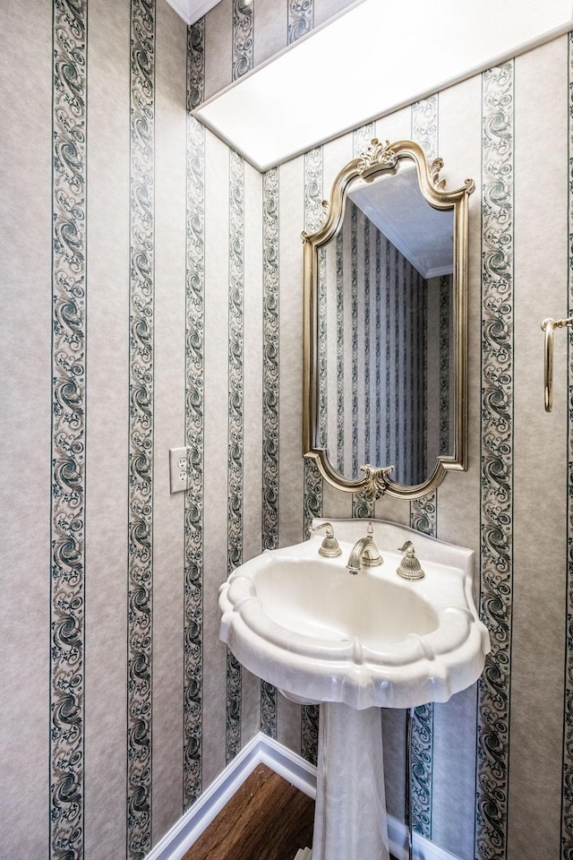 bathroom featuring wood-type flooring