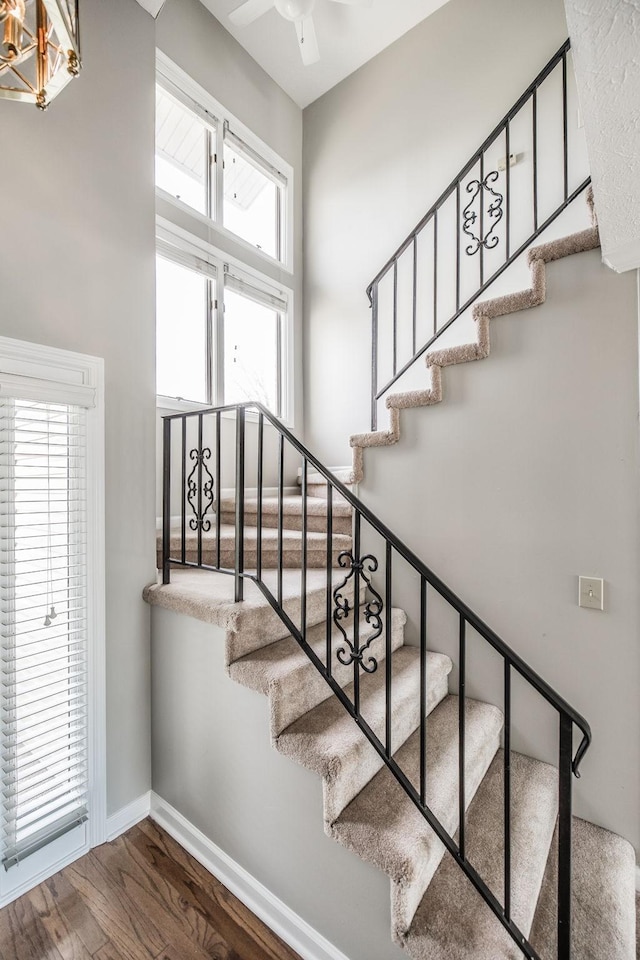 stairway featuring ceiling fan and hardwood / wood-style floors