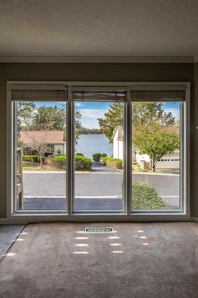 doorway featuring ornamental molding, a water view, plenty of natural light, and a textured ceiling