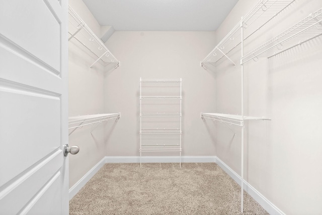 spacious closet with carpet