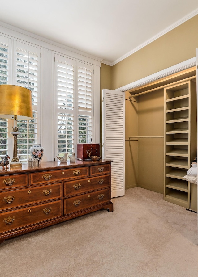 interior space with ornamental molding and a closet