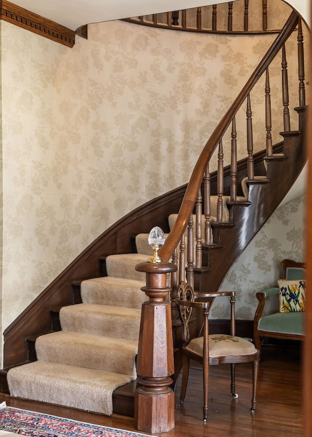 stairway with hardwood / wood-style flooring