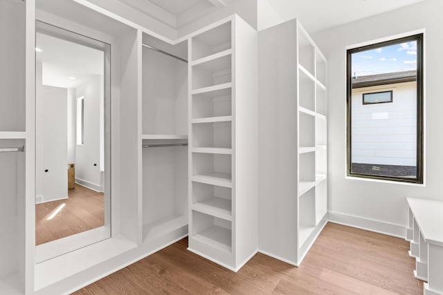 spacious closet with hardwood / wood-style floors