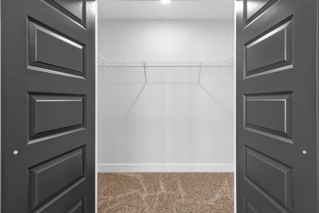 walk in closet featuring carpet