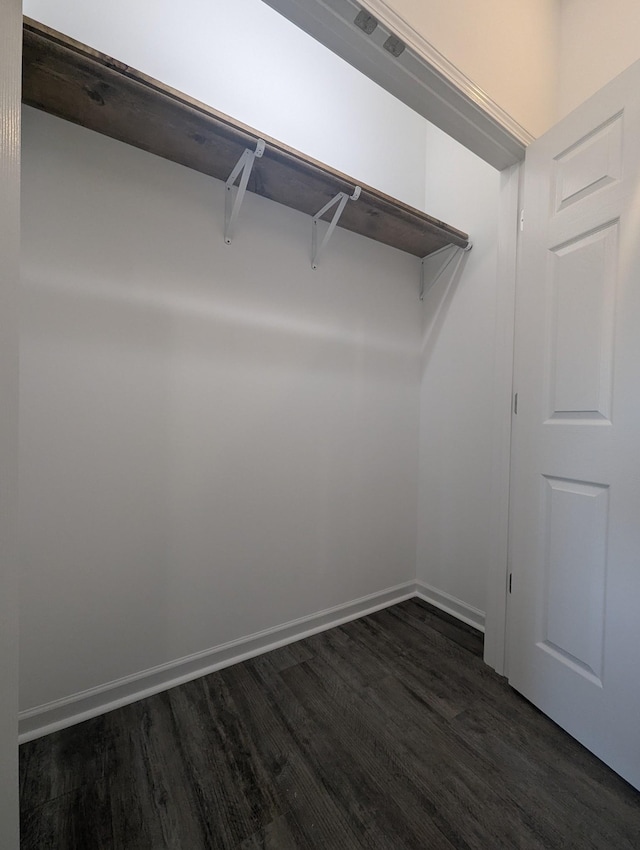 walk in closet featuring dark hardwood / wood-style floors