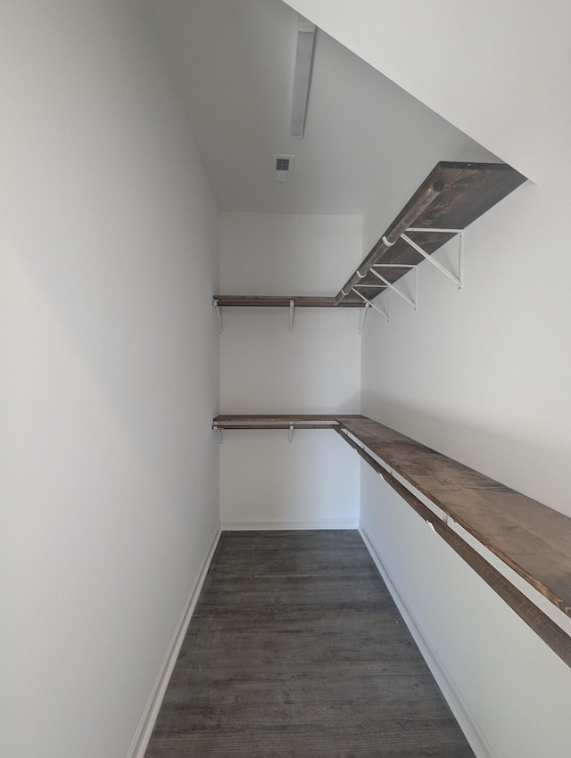 spacious closet featuring dark hardwood / wood-style floors