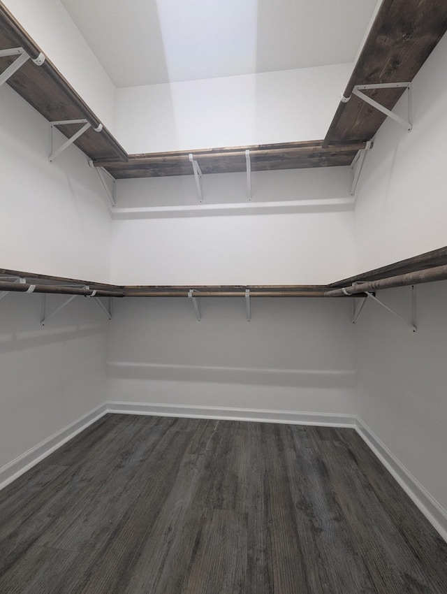 spacious closet with dark hardwood / wood-style floors