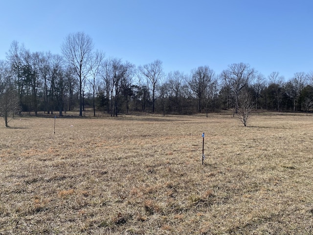 11239 Karo Rd, Bell Buckle TN, 37020 land for sale