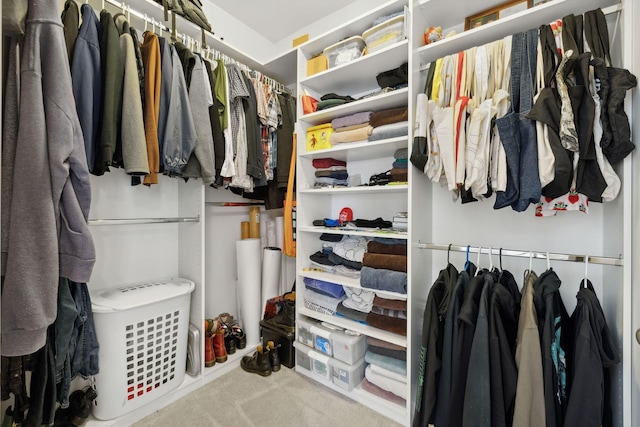 walk in closet with carpet floors