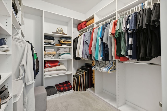 spacious closet with light colored carpet