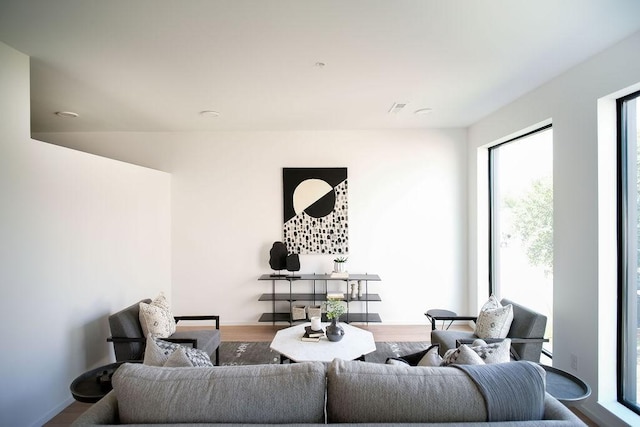 living room with hardwood / wood-style floors