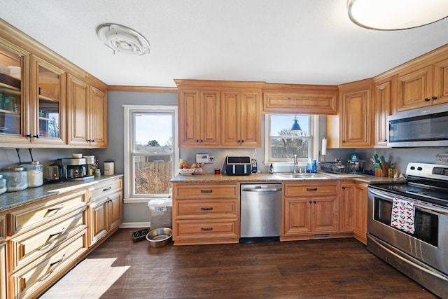 kitchen with a healthy amount of sunlight, appliances with stainless steel finishes, sink, and dark hardwood / wood-style floors