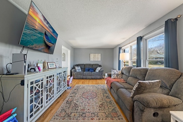 living room with hardwood / wood-style flooring and a textured ceiling