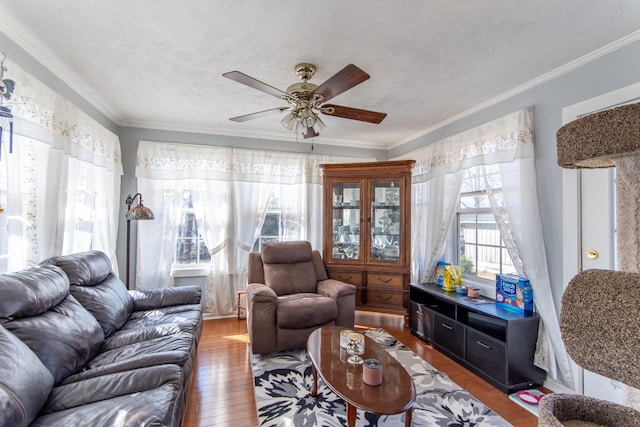 living room with dark hardwood / wood-style flooring, crown molding, and a textured ceiling