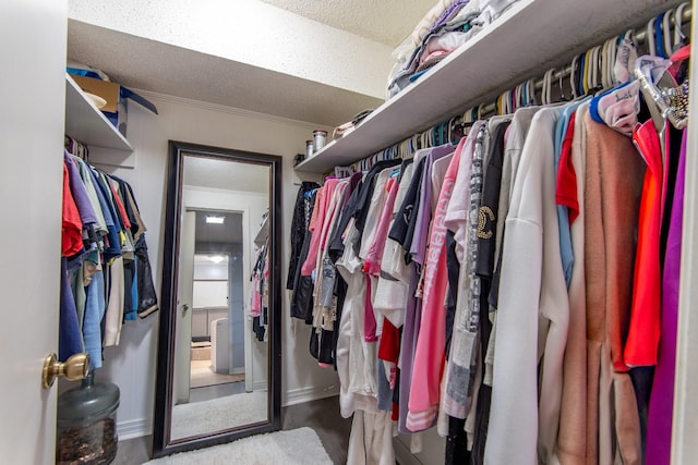 walk in closet with hardwood / wood-style floors