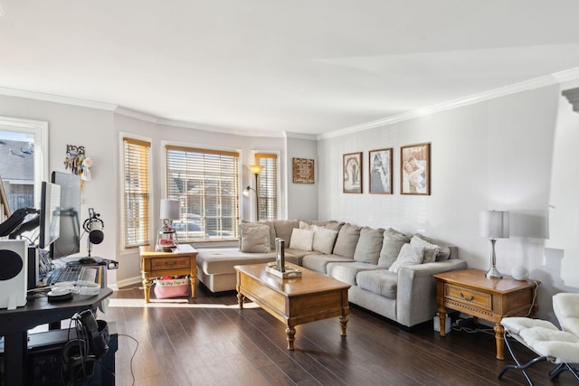 living room with ornamental molding and dark hardwood / wood-style floors