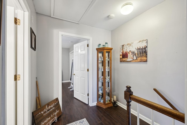 hall featuring dark wood-type flooring