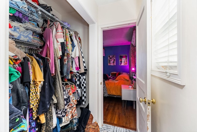 spacious closet with wood-type flooring