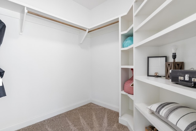 spacious closet with carpet floors