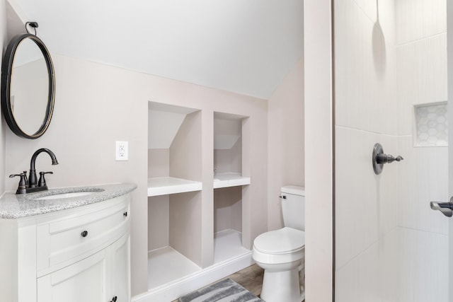 bathroom with hardwood / wood-style flooring, vanity, and toilet