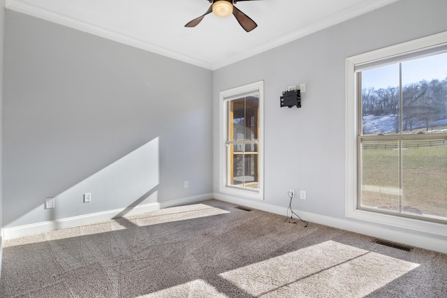 spare room with crown molding, ceiling fan, and carpet