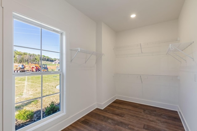 spacious closet with dark wood-type flooring