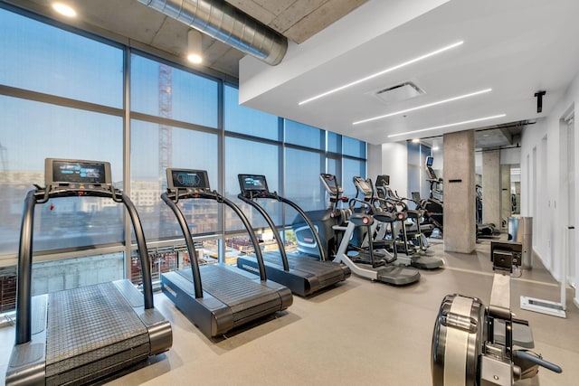 workout area featuring floor to ceiling windows and a healthy amount of sunlight