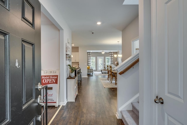 foyer featuring dark hardwood / wood-style floors