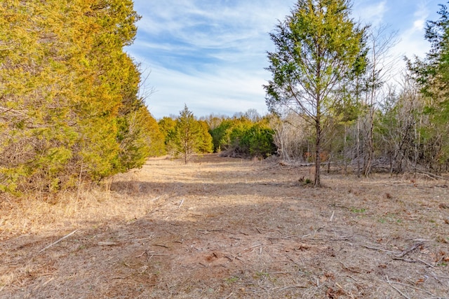 2555 Bob Cheek Rd, Lewisburg TN, 37091 land for sale