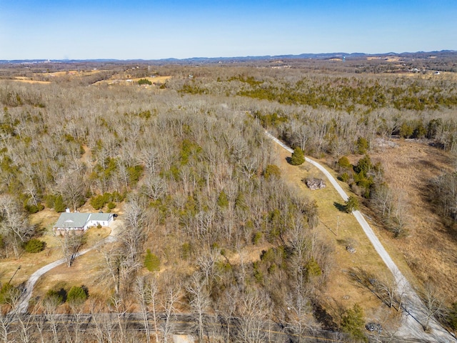 0 Joe Peay Rd, Spring Hill TN, 37174 land for sale