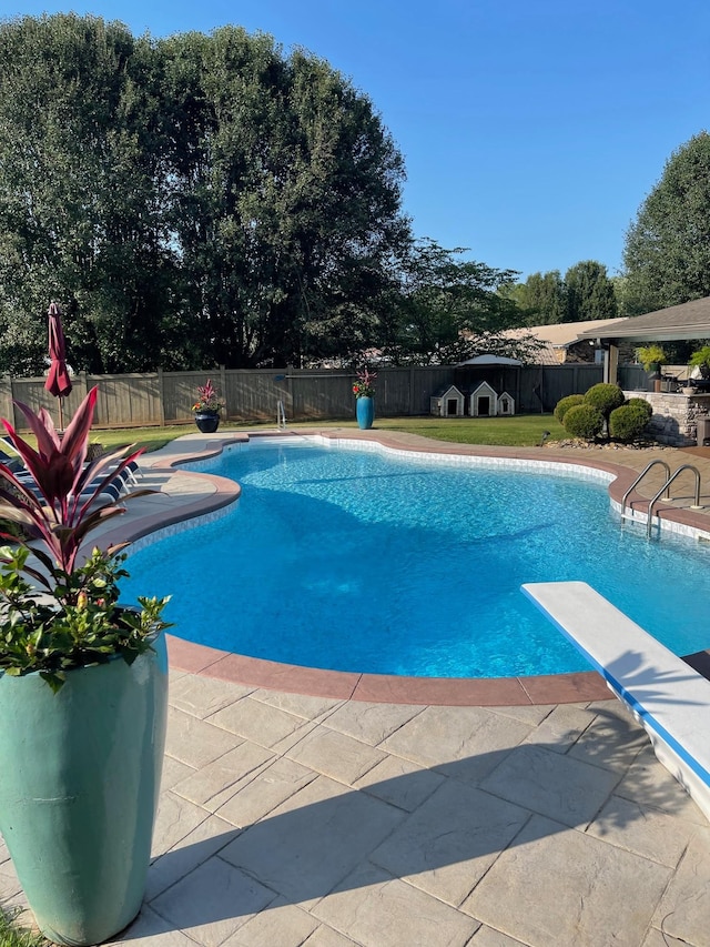 view of swimming pool with a patio and a diving board