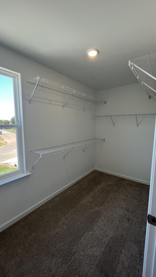 spacious closet with dark carpet