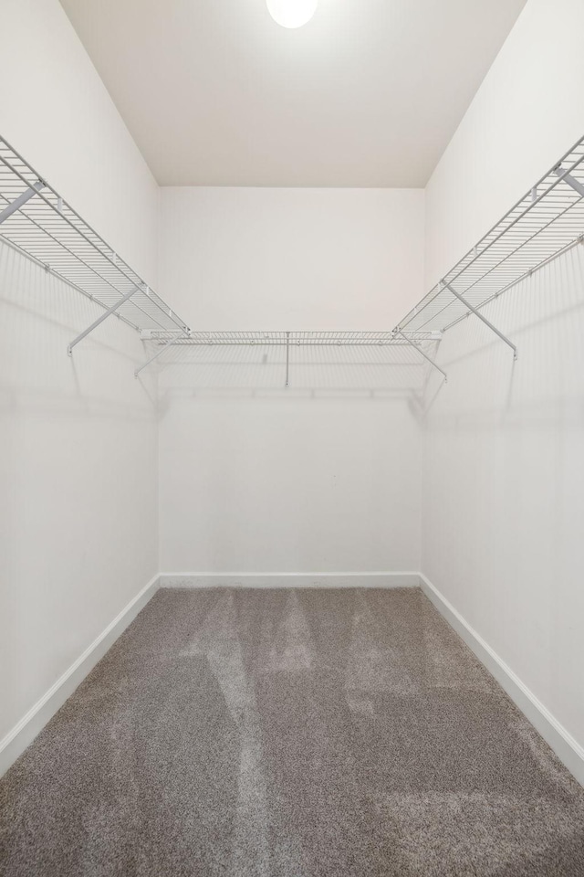 walk in closet featuring carpet