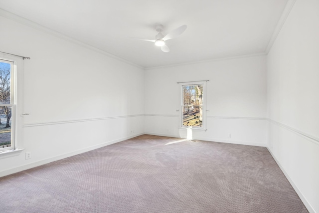 empty room with ornamental molding, carpet, and ceiling fan