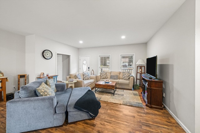 living room featuring hardwood / wood-style flooring