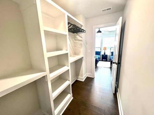 spacious closet featuring dark hardwood / wood-style flooring