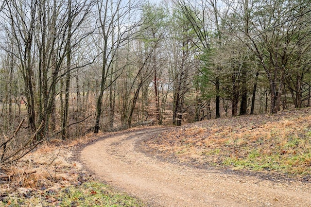 view of road