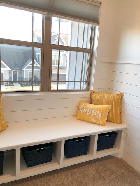 mudroom featuring carpet flooring