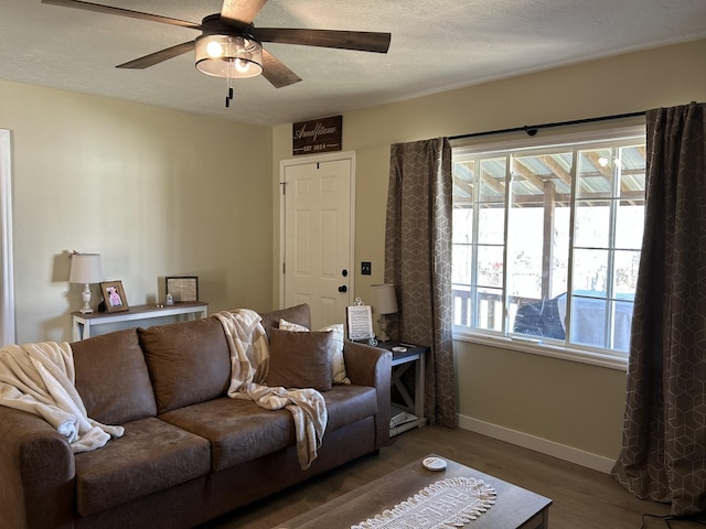 living room with wood-type flooring, a textured ceiling, and ceiling fan