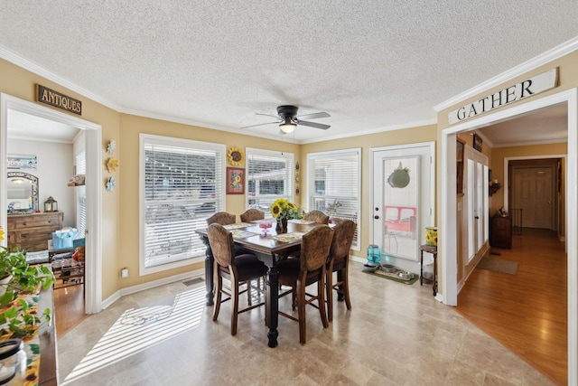 dining space with crown molding and ceiling fan