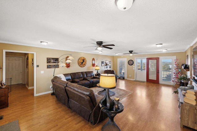 living room featuring ornamental molding, a textured ceiling, and light wood-type flooring