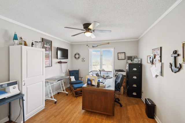 office featuring ornamental molding, light hardwood / wood-style floors, and a textured ceiling