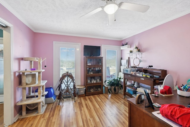 office space featuring crown molding, ceiling fan, a textured ceiling, and light wood-type flooring