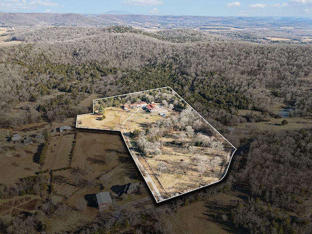 birds eye view of property featuring a mountain view