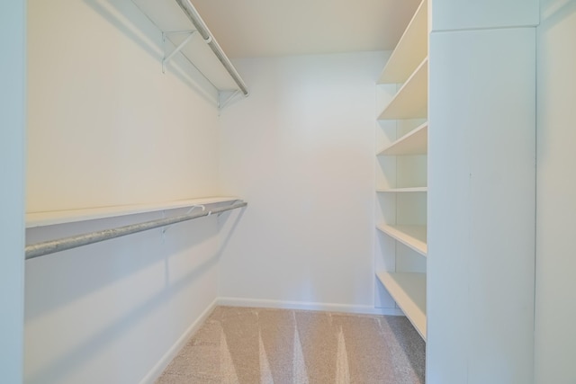 walk in closet with light colored carpet