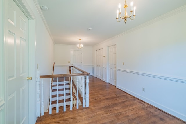 corridor featuring ornamental molding, dark hardwood / wood-style flooring, and an inviting chandelier