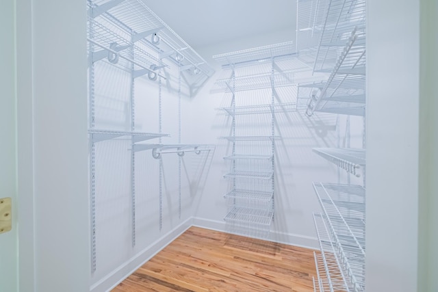 spacious closet with hardwood / wood-style flooring