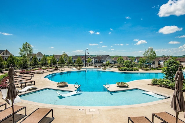 view of pool with a patio