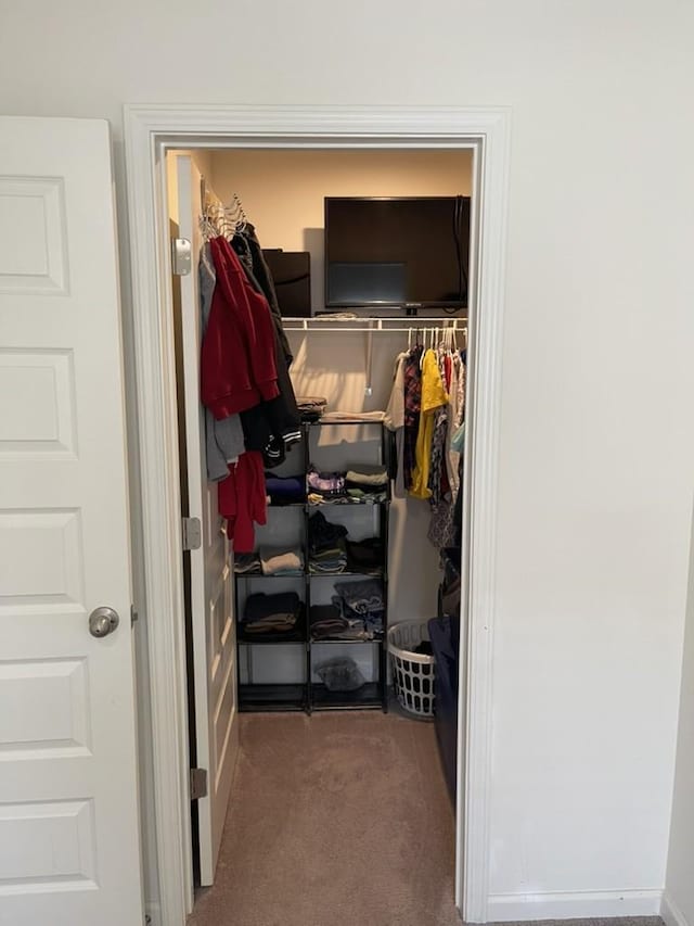 spacious closet with carpet floors