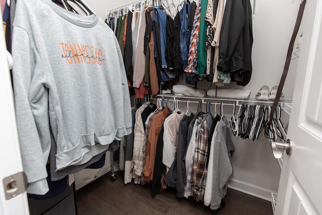 spacious closet with dark wood-type flooring